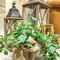 ハートコート横浜の写真13枚目