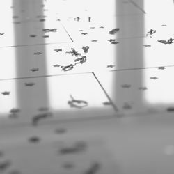 ラ・フェット ひらまつの写真36枚目