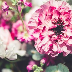 ラソールガーデン熊本の写真13枚目