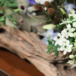 ラソールガーデン名古屋の写真21枚目