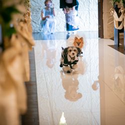 ル・グラン・ミラージュ ONE & ONLYの写真29枚目