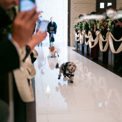 ル・グラン・ミラージュ ONE & ONLYの写真12枚目