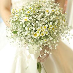 ザ・シーズンズの写真11枚目