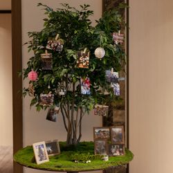 ルーキスの写真21枚目