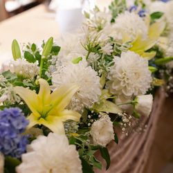 ルーキスの写真22枚目