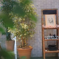 ブルー:ブランの写真14枚目