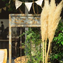 ブルー:ブランの写真33枚目