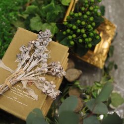 ブルー:ブランの写真9枚目