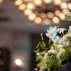 赤坂プリンス クラシックハウスの写真17枚目