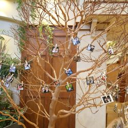 ミエルココンの写真34枚目