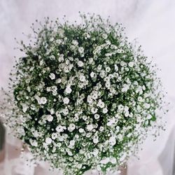 ザ スイート クラシカ仙台の写真15枚目