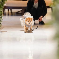 アーヴェリール迎賓館 名古屋の写真7枚目