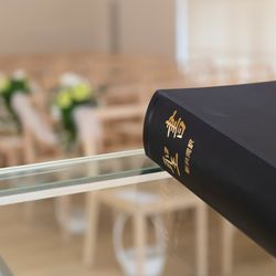 MIRAIE Weddingの写真28枚目