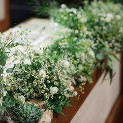 SOLA KOBEの写真33枚目