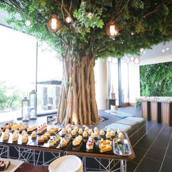 SOLA KOBEの写真35枚目