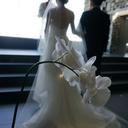 SOLA KOBEの写真17枚目