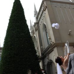 青山セントグレース大聖堂の写真31枚目