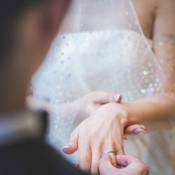 ザ・シーズンズの写真1枚目