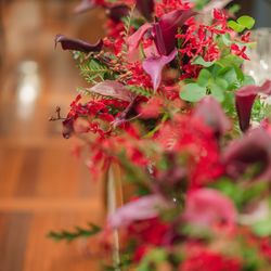 SOLA KOBEの写真28枚目