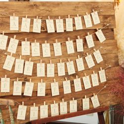 マキシマニスの写真6枚目