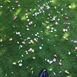 アニヴェルセル 大宮の写真11枚目