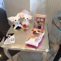 伊勢山ヒルズの写真1枚目