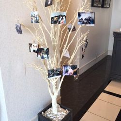 伊勢山ヒルズの写真10枚目