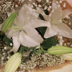 ラ・スイート神戸オーシャンズガーデンの写真12枚目