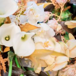 ザ・コンダーハウスの写真20枚目