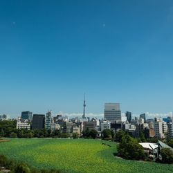 ルーキスの写真5枚目