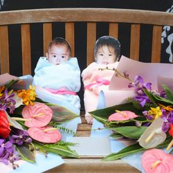 パラッツォ ドゥカーレ 麻布の写真4枚目