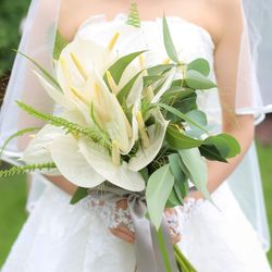 パラッツォ ドゥカーレ 麻布の写真30枚目