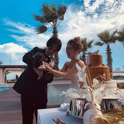 コットンハーバークラブ 横浜の写真12枚目