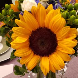 石の教会 内村鑑三記念堂の写真19枚目