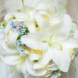 アートグレイス ネクスト アシヤの写真9枚目