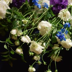 グランド ハイアット 東京の写真9枚目