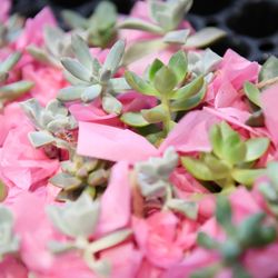 ラポールの写真7枚目