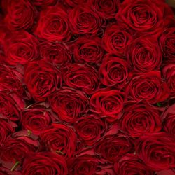 覚王山ル・アンジェ教会の写真11枚目