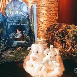 ザ・ルイガンズ スパ＆リゾートの写真14枚目