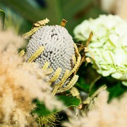 ザ・ルイガンズ スパ&リゾートの写真22枚目