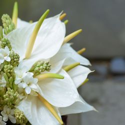 神戸北野ホテルの写真13枚目