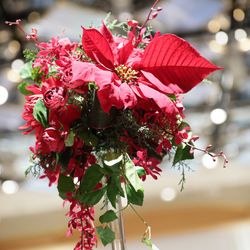 帝国ホテル 東京の写真21枚目