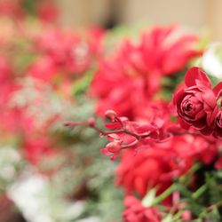 帝国ホテル 東京の写真17枚目