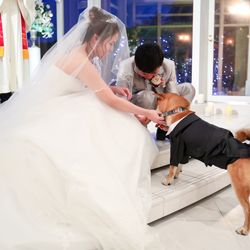 アートグレイス・ウエディングコースト 大阪の写真23枚目