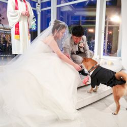 アートグレイス・ウエディングコースト 大阪の写真14枚目