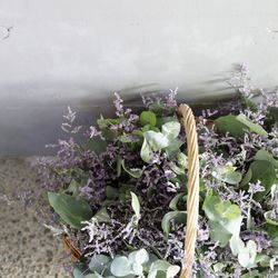 Mia Viaの写真33枚目