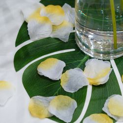 アートグレイス・ウエディングコースト 大阪の写真1枚目