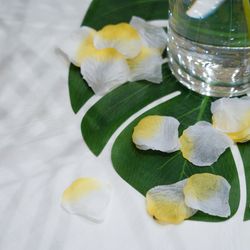 アートグレイス・ウエディングコースト 大阪の写真4枚目