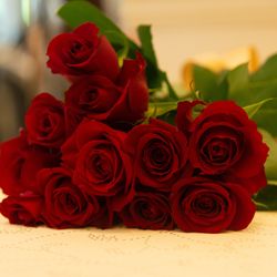 エスプリ・ド・ナチュールの写真4枚目