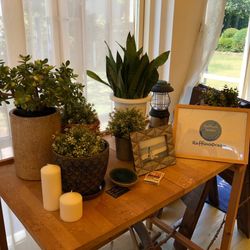 ラフィーノオーシャンの写真10枚目